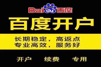 百度推广精准定位，案例深度解析